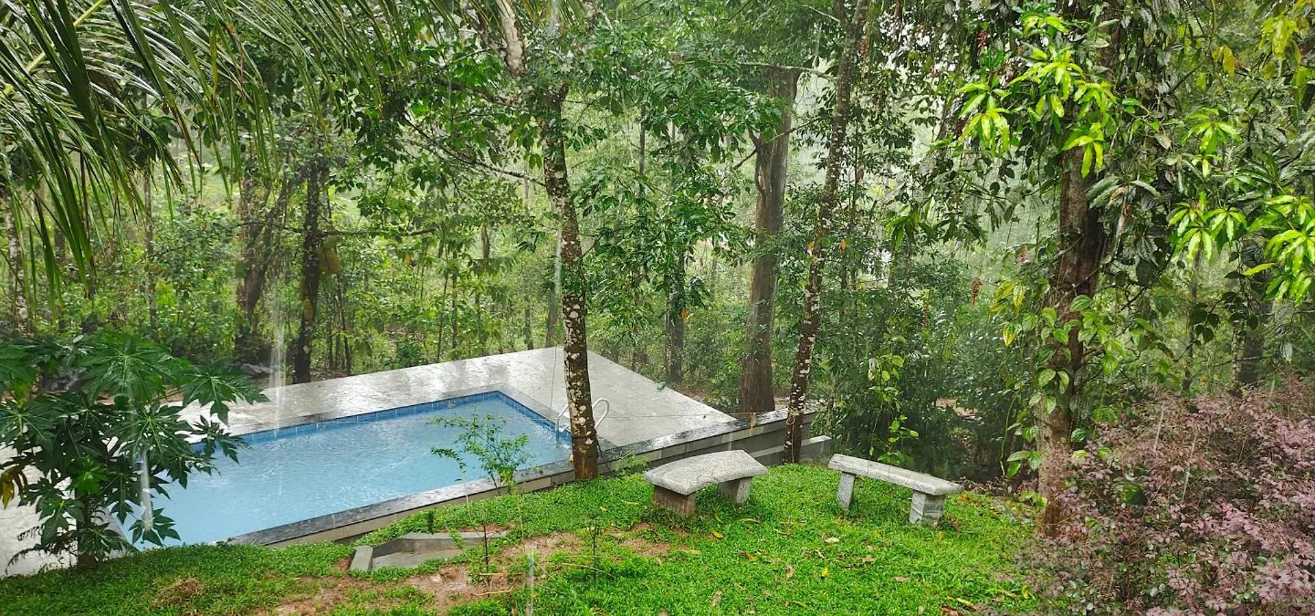 Iru Homes - Premium Pool Villa Ambalavayal インド